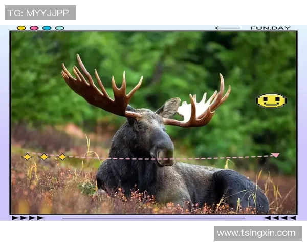 雄鹿在自然生态中的重要角色与保护现状分析 雄鹿在自然生态中的重要角色与保护现状分析