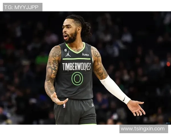 森林狼引领新征程:探索未知,追求辉煌 森林狼引领新征程:探索未知,追求辉煌