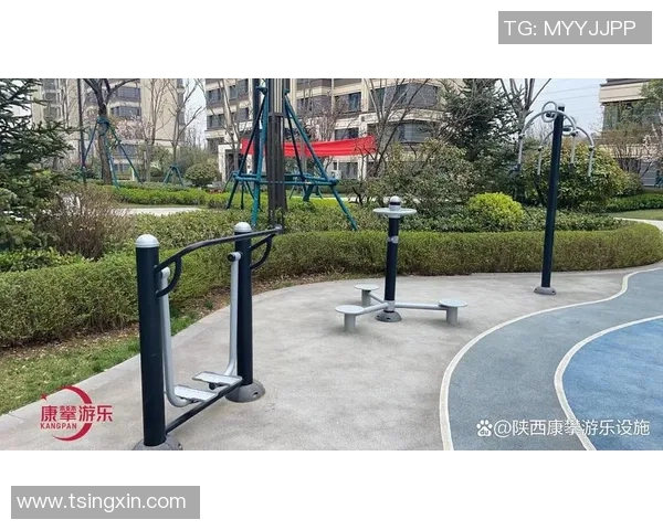 西安健身器材市场:西安地区健身器材购买指南 西安健身器材市场:西安地区健身器材购买指南