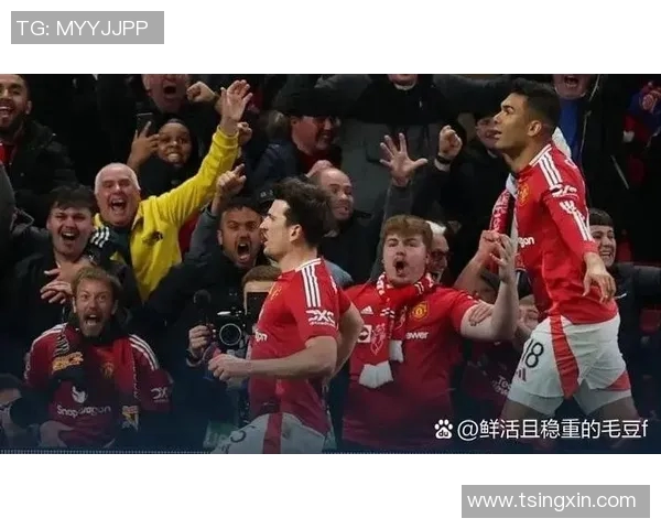 西甲联赛球队简称与球队身份的辨识和分类 西甲联赛球队简称与球队身份的辨识和分类